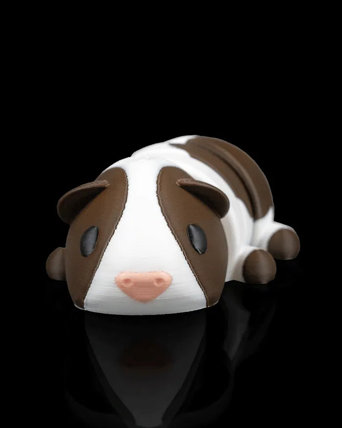 Gus The Guinea Pig