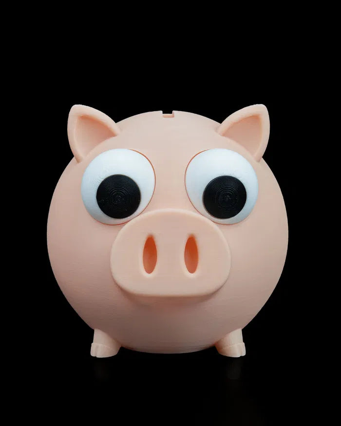 Oinkcome-Piggybank
