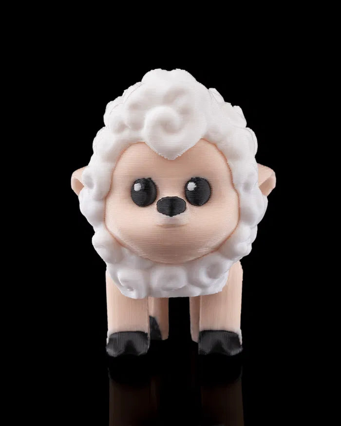 Shane, The Sheep
